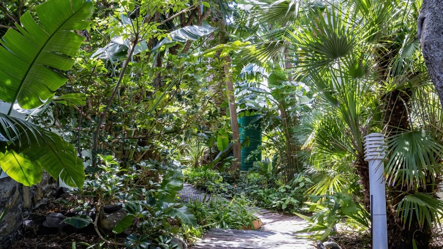 To Let 0 Bedroom Property for Rent in Sea Point Western Cape